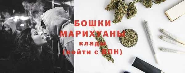 шишки Володарск