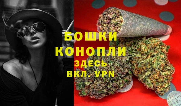 шишки Володарск