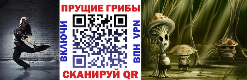 Галлюциногенные грибы прущие грибы  Купить закладки  Баксан 